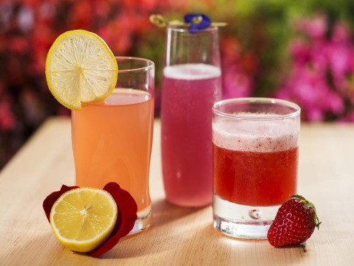Representative photo of Musk Melon Juice